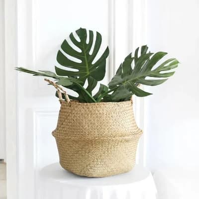 Valyria Home Cesto Maceta Canasto De Mimbre 27cm Color Caqui Cesto Mimbre