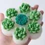 Bazardejua Molde Silicona 7 Suculentas Cactus Vela Jabon Chocolate Blanco