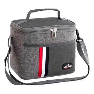 Weyoung Conservadora Lunchera Compacta Nibble Camping Picnic 6l Color Gris Oscuro