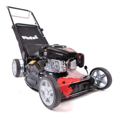 Petri Máquina Corta Pasto Nafta Petri Profesional 4hp C/ Bolsa 45l Color Rojo