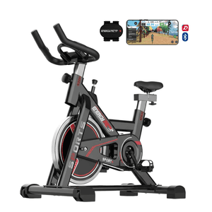 Energy Fit Bicicleta Fija Spinning Profesional Gym 8 Niveles 28 Kgs con App Bluetooth