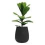 Amalfi Maceta Plástica Grande Amalfi Sara 40 De 31 Litros Con Plato Símil Piedra Color Negro