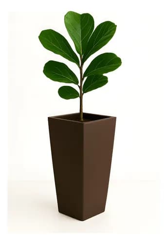 Tienda Verde Maceta Rotomoldeado Plastico Piramidal 50 Alto X 25 Promo!