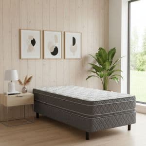 Ayfa Conjunto Sommier Full Twin Ayfa Premium Resortes Dual 100x200